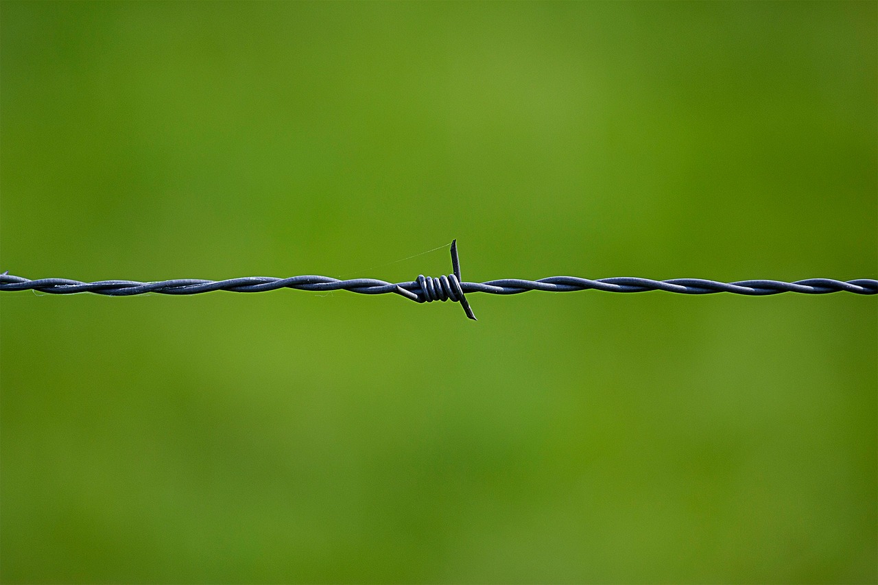 Blogging Safely: Protecting Your Online Profile